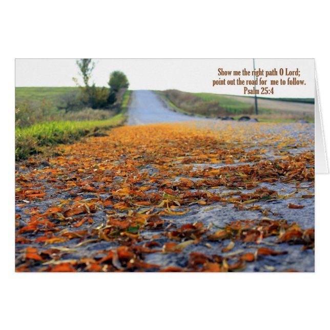 カードを後を追う道 (正面横)