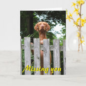 "カードを恋しく思うVizsla " カード (黄色い花)