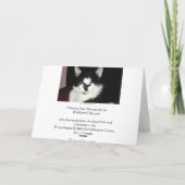 カードを恋しく思っているCAT及び蝶 シーズンカード (裏面)