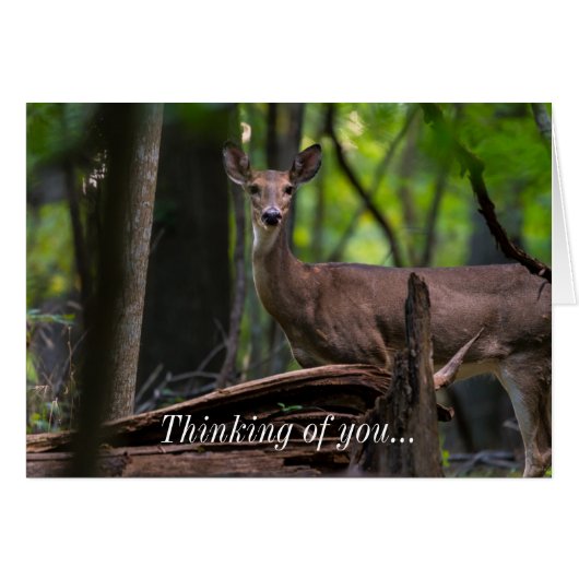 カードを考えるチェックアウト (正面横)