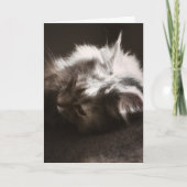 カードを考え探して カード (正面)