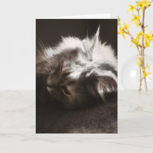 カードを考え探して カード (黄色い花)