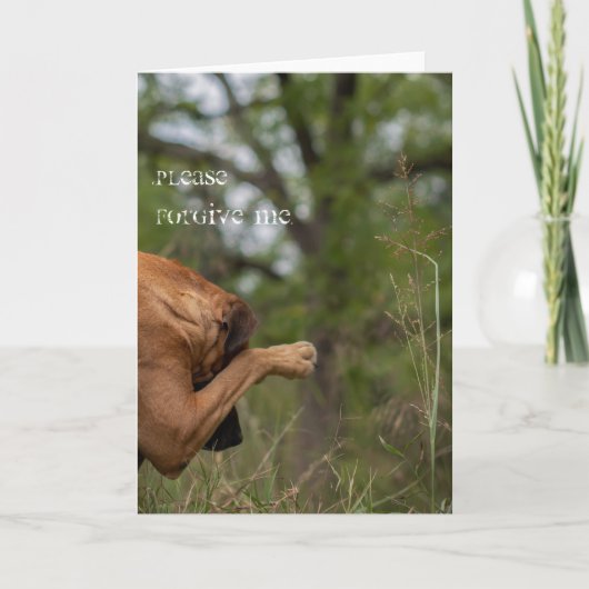 カードを許して下さい カード (正面)