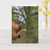 カードを許して下さい カード (黄色い花)