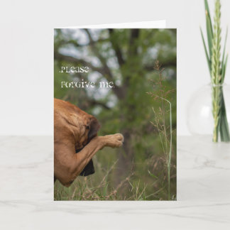 カードを許して下さい カード