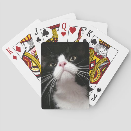 カードを遊ぶこと トランプ (裏面)