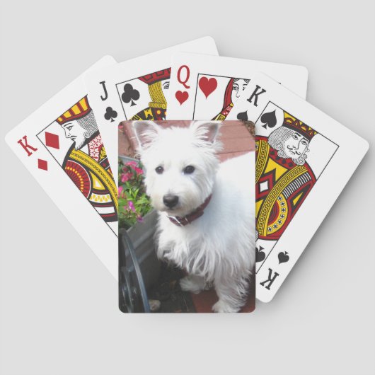カードを遊ぶ愛らしいWestie トランプ (裏面)