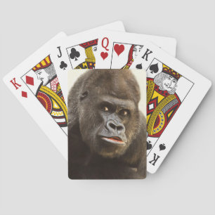 カードを遊んでいるおもしろいなゴリラ トランプ