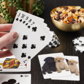 カードを遊んでいるラブラドルの子犬 トランプ (インサイチュ)