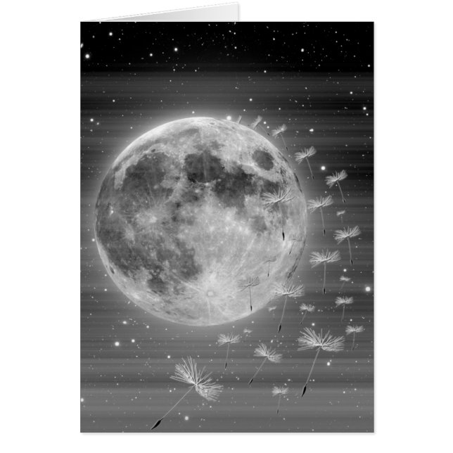 カードを飛ばす夢 (正面)