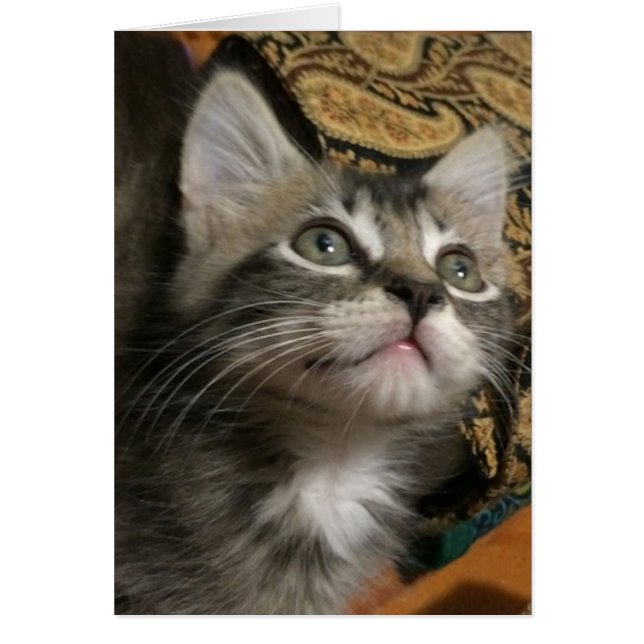 カードを""調べることを保って下さい (正面)