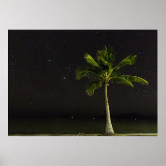 カードウェルパーム ポスター