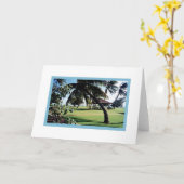 カードポイプビーチパークカウアイハワイ カード (黄色い花)