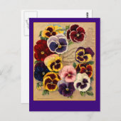 カード上の明るいパンジーのシードパケットアート ポストカード (正面/裏面)