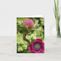 カード上ユニークのマはっきりしたクロ写真のピ空白のンク