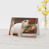 カード失ったなし カード (黄色い花)