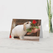 カード失ったなし カード (正面)