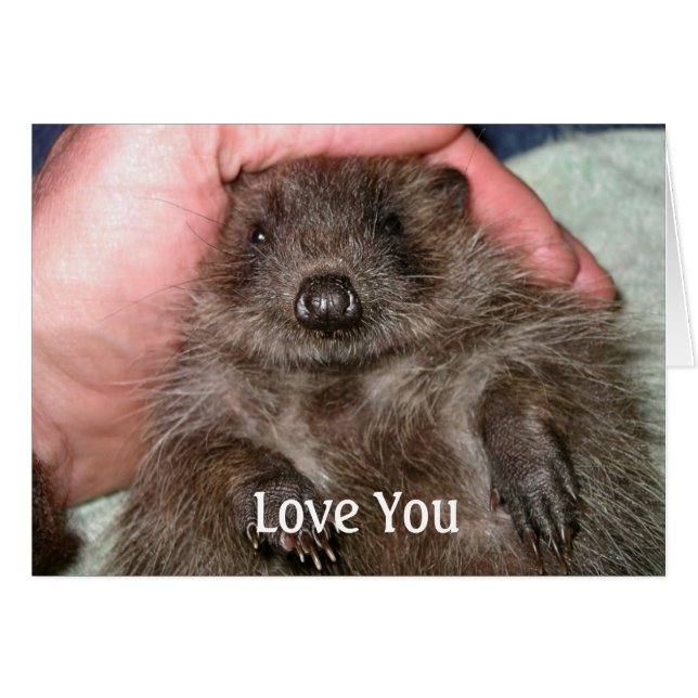 カード愛して下さい (正面横)