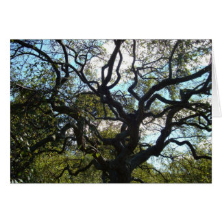 カード生命の樹