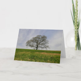 カード生命の樹 カード