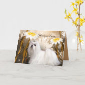 カード白い子犬の考え花"の人" カード (黄色い花)