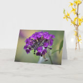 カード祈のマンティス カード (黄色い花)