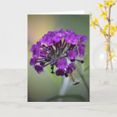 カード祈のマンティス カード (黄色い花)