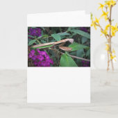 カード祈のマンティス カード (黄色い花)