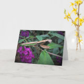 カード祈のマンティス カード (黄色い花)