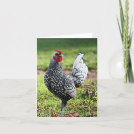 カード空白ののオンドリ サンキューカード