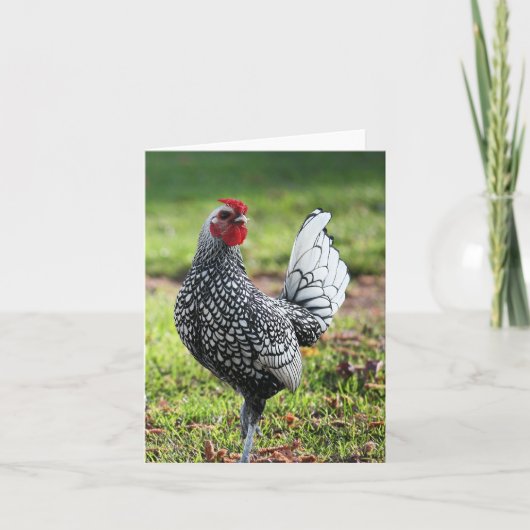 カード空白ののオンドリ サンキューカード (正面)