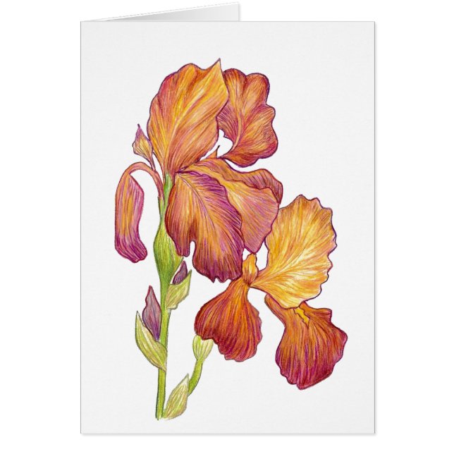 カード空白の内の虹彩 (正面)