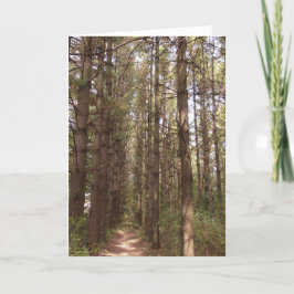 カード考えについて カード