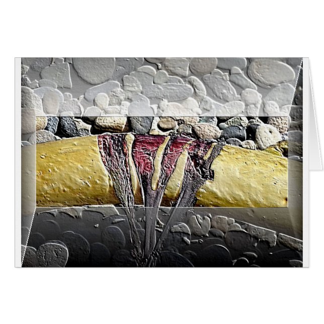 カード色彩の鮮やかなケルプ (正面横)