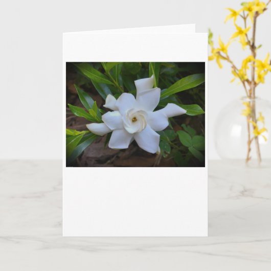 カード (黄色い花)