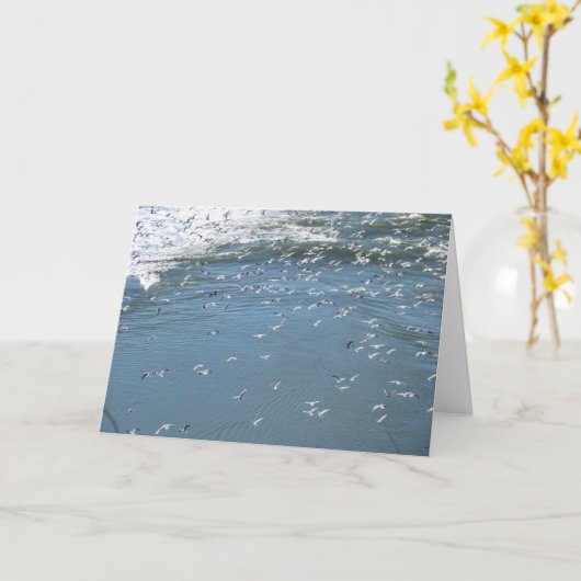 カード – あいさつ文 – ここに来てほしい… (黄色い花)