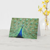 カード – あいさつ文 – クジャクの尾の羽 (黄色い花)