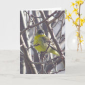 カード – あいさつ文 – 枝の黄色い鳥 (黄色い花)