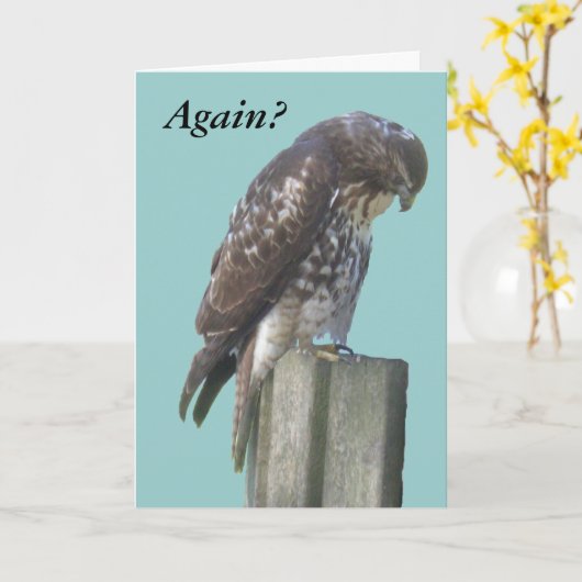 カード – あいさつ文 – 《鳥》ハヤブサ (黄色い花)