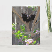 カード、あいさつ – Cat in Branches カード (正面)
