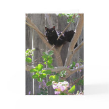 カード、あいさつ – Cat in Branches