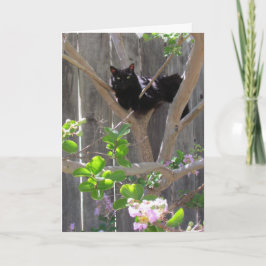 カード、あいさつ – Cat in Branches カード