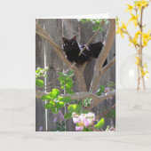 カード、あいさつ – Cat in Branches カード (黄色い花)