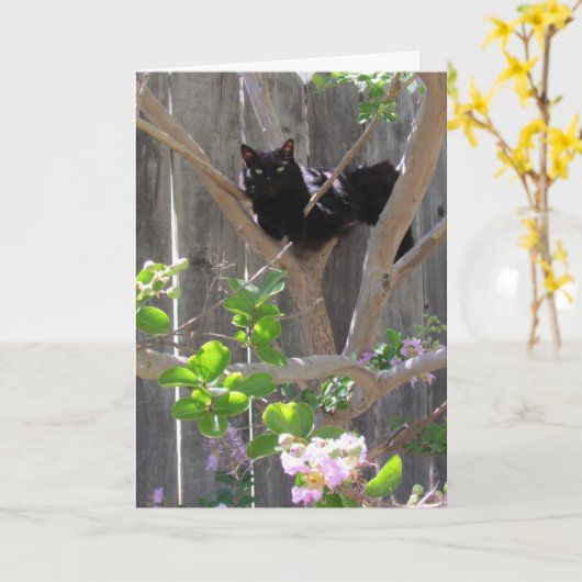 カード、あいさつ – Cat in Branches カード (黄色い花)