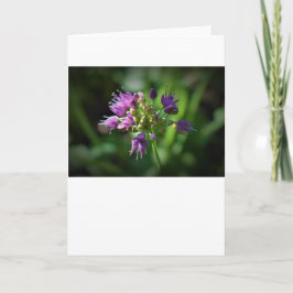 カード・アリウム カード