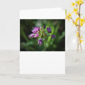 カード・アリウム カード (黄色い花)