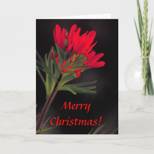 カード/インディアン絵筆/クリスマス シーズンカード (正面)