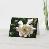 カード・ガーデニア カード (正面)