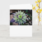 カード・クレマティス カード (黄色い花)