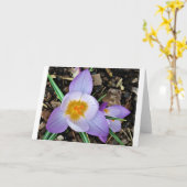 カード・クロッカス カード (黄色い花)